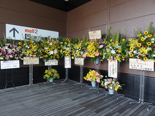 HKT48劇場前の花